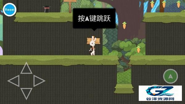 追逐繁星的兔子