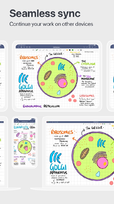 goodnotes55