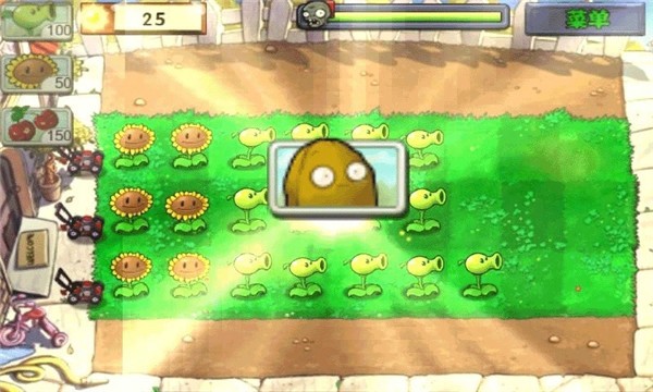 植物大战僵尸王国版4