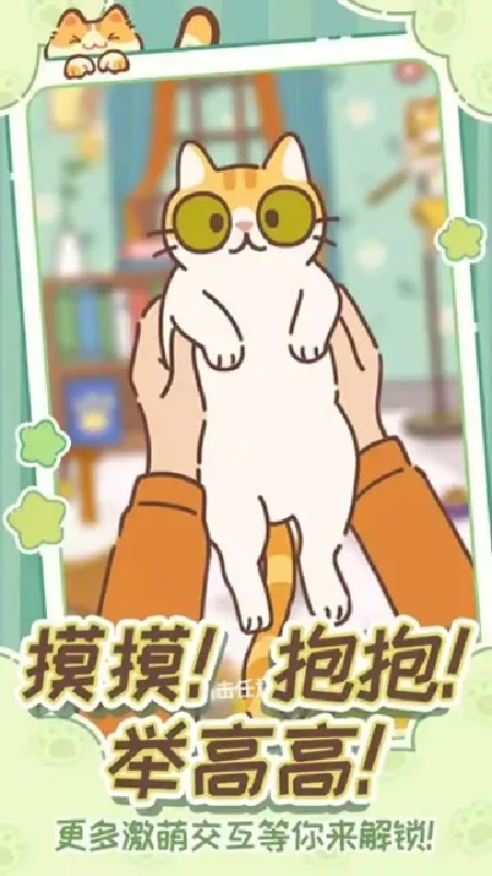 领养一只流浪猫4