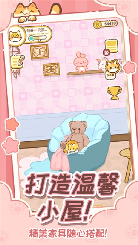 领养一只流浪猫手机版6