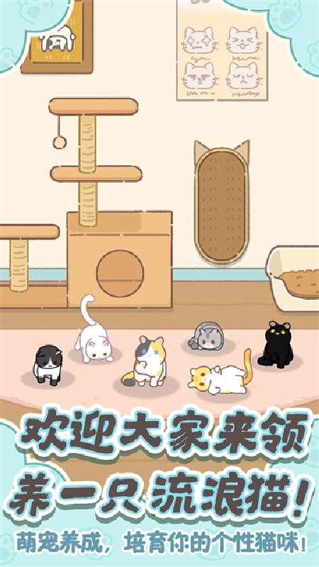 领养一只流浪猫手机版2
