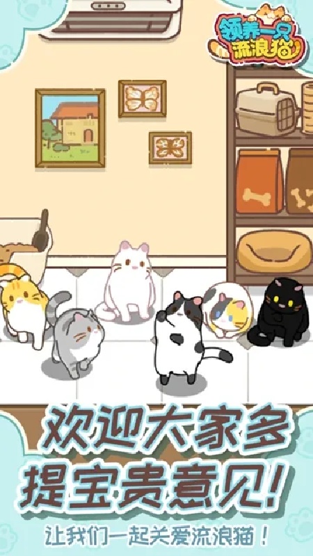 领养一只流浪猫5