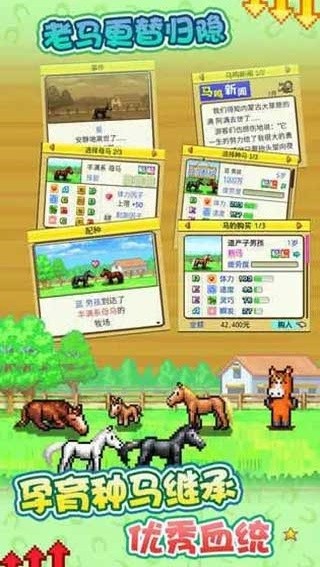 赛马牧场物语3
