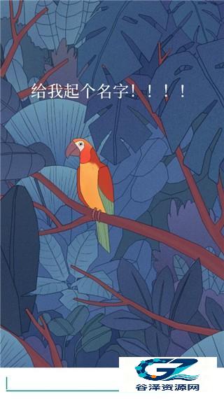 孤独的鸟儿正版