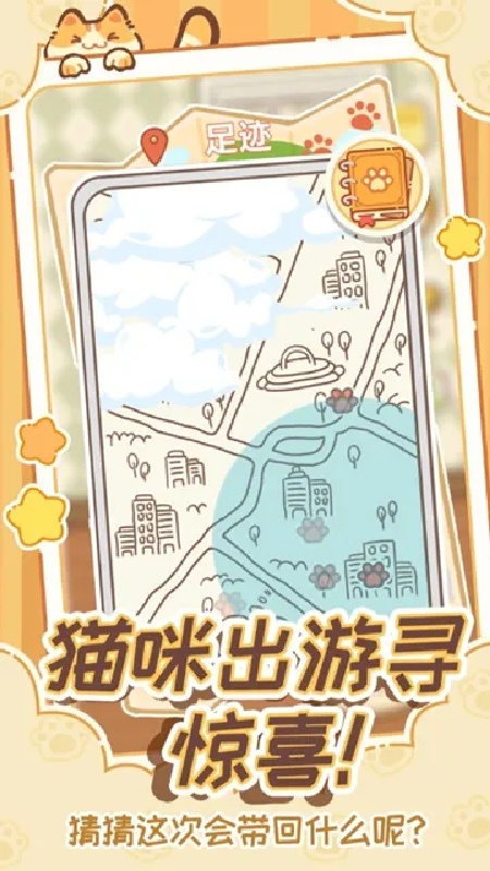 领养一只流浪猫3