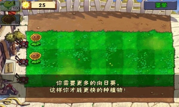 植物大战僵尸王国版2