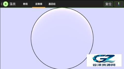 细胞实验室