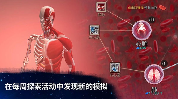 从细胞到奇点国际版3