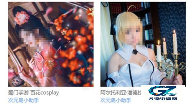 次元岛软件