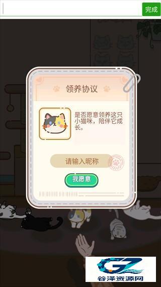 领养一只流浪猫手机版