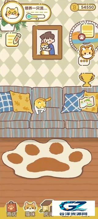 领养一只流浪猫
