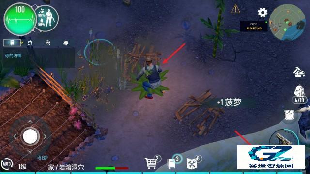 生存主义者入侵