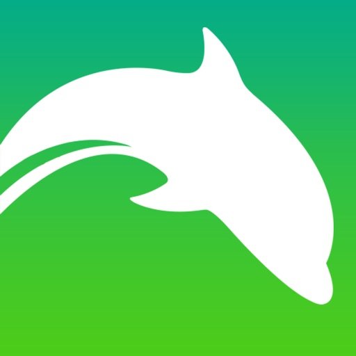 海豚浏览器Flash版本