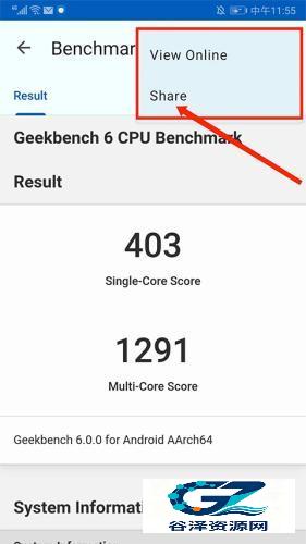 Geekbench6安卓版