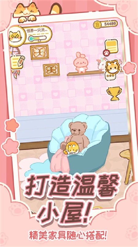 领养一只流浪猫官方版3