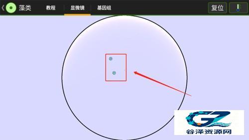 细胞实验室