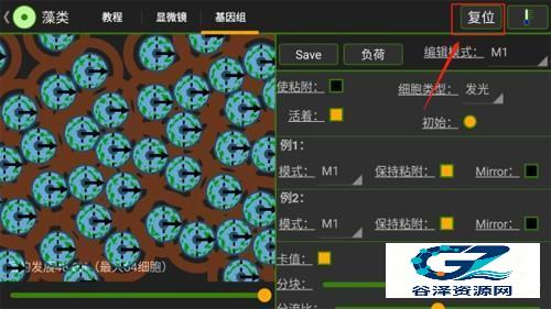 细胞实验室