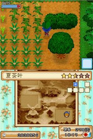 牧场物语风之集市中文版3