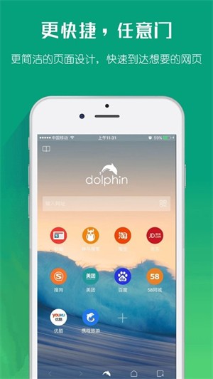 海豚浏览器Flash版本2