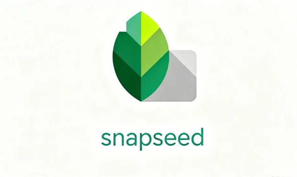 Snapseed怎么把图片拼在一起？双重曝光蒙版教程