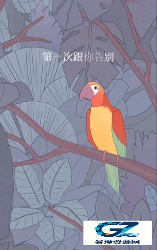 孤独的鸟儿国际服